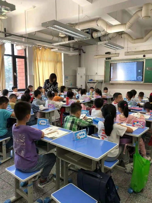 积极组织课后服务，让教育更有温度——一年级课后延时服务活动纪实与教育咨询服务